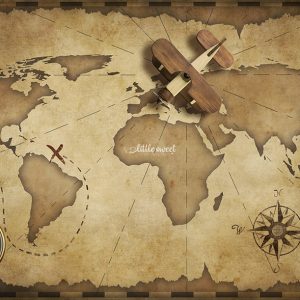 WORLD MAP – PRINTED BACKDROP FABRIC (PRE-ORDER)