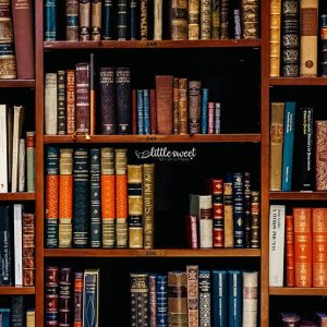 LIBRARY  – BABY PRINTED BACKDROP – FABRIC (PRE-ORDER)